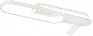 Настенно-потолочный светильник COMFORT FL5108