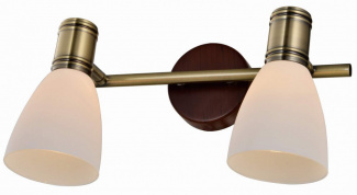 Спот Sharyl TL3720Y-02BB