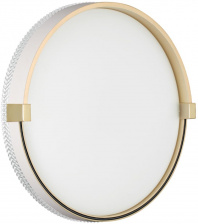 Настенно-потолочный светильник Olidi White 7646/CL