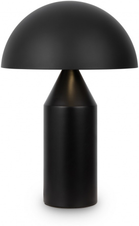 Интерьерная настольная лампа Eleon FR5218TL-02B1 фото 1
