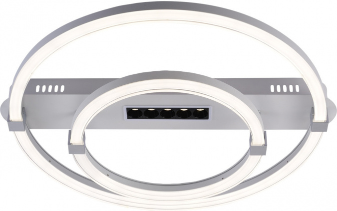 Потолочная люстра Aspect 10253/2LED фото 1