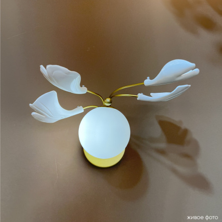 Бра Crystal Lux COLIBRI AP1 GOLD фото 4