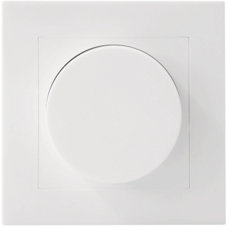 Диммер Recessed Wall Dimmer Nl 50000/00/31 фото 1